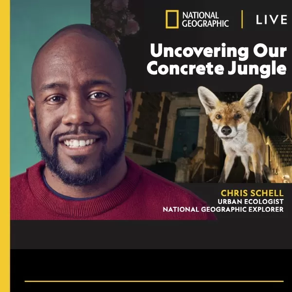 National Geographic Live: Uncovering our Concrete Jungle with Chris Schell
