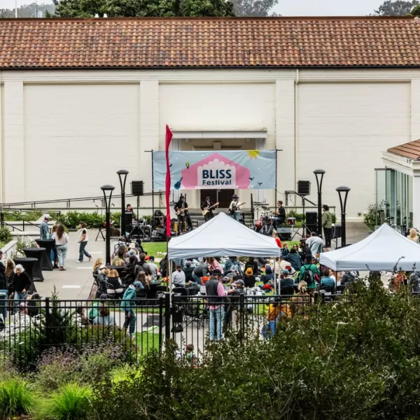 Bliss Festival